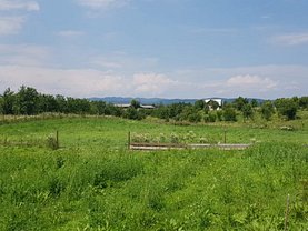 Teren constructii de vânzare, în Baicoi