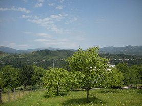 Teren constructii de vânzare, în Homoraciu