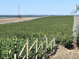 Teren agricol de vânzare, în Tulcea, zona Central