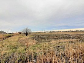 Teren agricol de vânzare, în Tulcea, zona Central