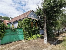 Casa de vânzare 2 camere, în Mihaileni