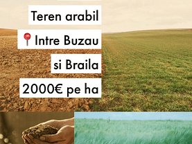 Teren agricol de vânzare în Buzau, Balcescu