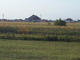 Teren constructii de vânzare, în Branesti