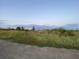Teren constructii de vanzare, în Balotesti