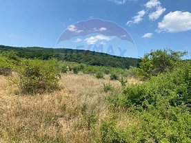 Teren constructii de vânzare, în Cluj-Napoca, zona Baciu