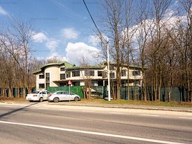 Casa de vânzare 10 camere, în Cernica