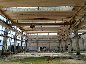 Vânzare spaţiu industrial