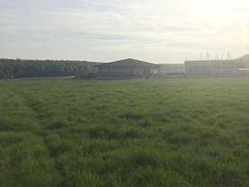 Teren constructii de vânzare, în Branesti