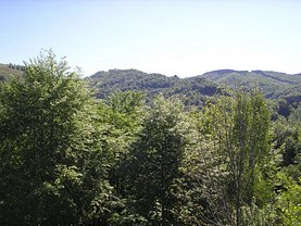 Teren constructii de vânzare, în Comarnic, zona Poiana