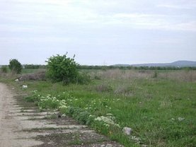 Licitaţie teren constructii, în Isaccea