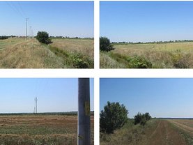 Licitaţie teren agricol, în Tartasesti
