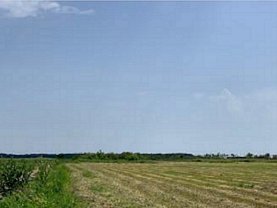 Teren agricol de vânzare în Frumusani