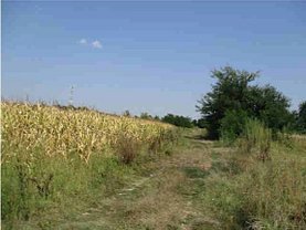 Teren agricol de vânzare în Afumati