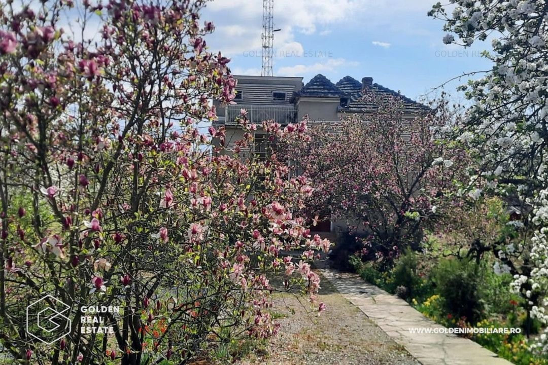 Casa cu D+P+E, 3500 mp teren, zona centrala, Paulis