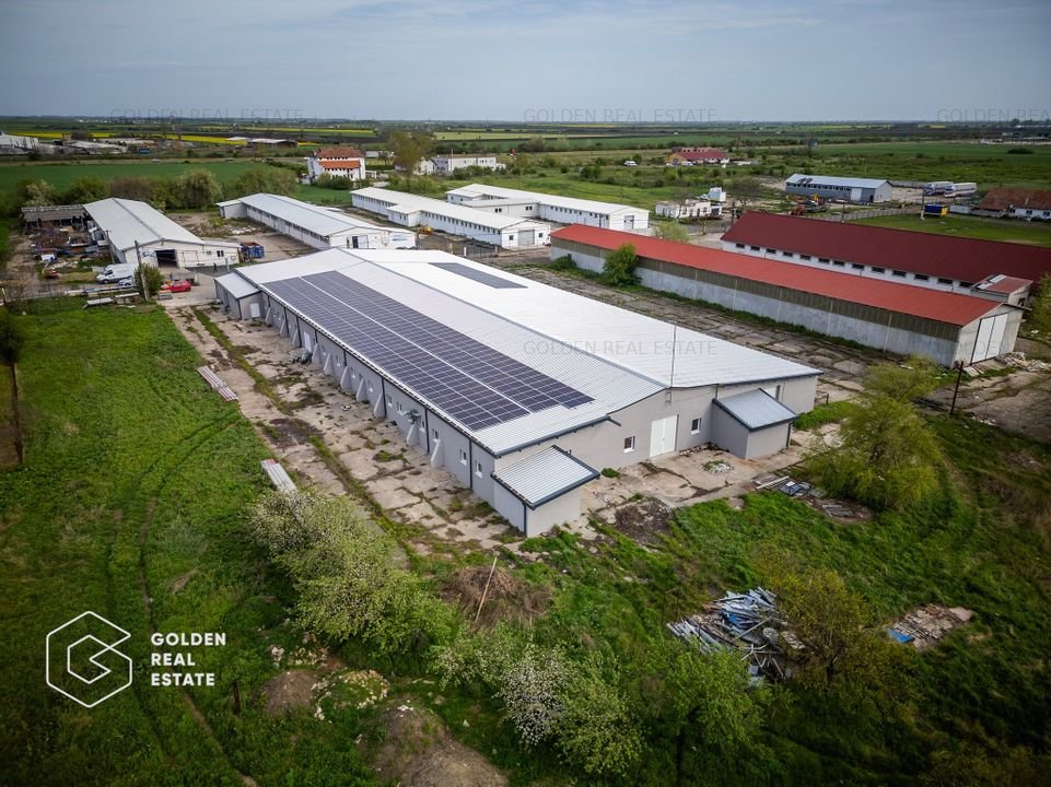 Hala industriala, Pecica, judeţul Arad