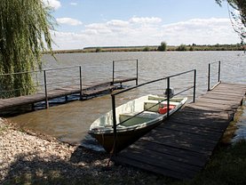 Vânzare conac cu Balta