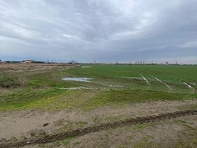Teren constructii de vânzare, în Domneşti
