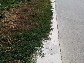 Teren constructii de vânzare, în Adunaţii-Copăceni