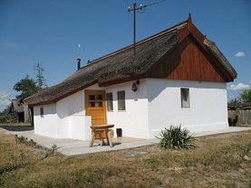 Casa de vânzare 7 camere, în Sulina, zona Est