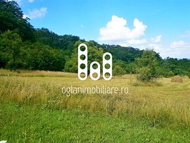Teren agricol de vânzare, în Bradu