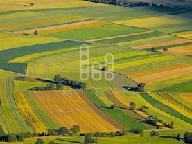 Teren agricol de vânzare, în Sibiu, zona Periferie