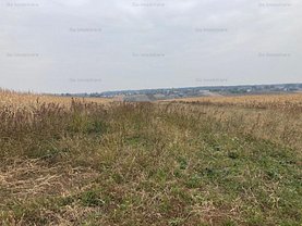 Teren constructii de vânzare, în Voroveşti, zona Miroslava