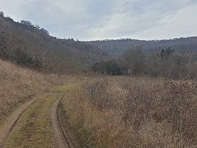 Teren faneata de vânzare, în Floreşti