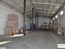 Teren constructii de închiriat, în Otopeni, zona Odai