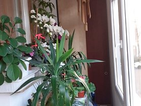 Apartament de vânzare 3 camere, în Bucureşti, zona Brâncoveanu