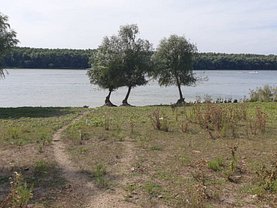 Vânzare teren investiţii în Baltenii de Sus
