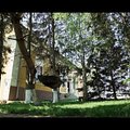 Casa de vanzare 5 camere, în Brasov, zona Stupini
