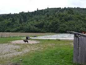 Teren helesteu de vânzare, în Zarnesti, zona Plaiul Foii