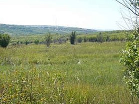 Teren constructii de vânzare, în Paleu