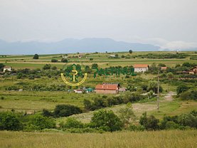 Teren agricol de vânzare, în Daia