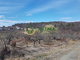 Teren constructii de vânzare, în Cisnadioara