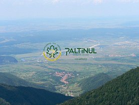 Teren agricol de vânzare, în Porumbacu de Sus