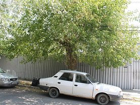 Teren constructii de vânzare, în Bucuresti, zona Chitila