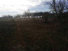 Teren constructii de vânzare, în Cluj-Napoca, zona Dambul Rotund