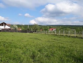 Teren constructii de vânzare, în Colibaşi