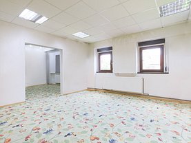 Vânzare birou în Timisoara, Fratelia