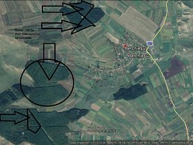 Teren padure de vânzare, în Berchiesu