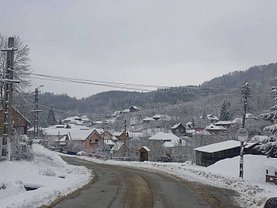 Casa de vânzare 5 camere, în Bradulet