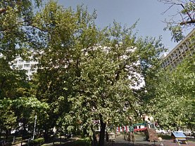 Apartament de vânzare 3 camere, în Bucureşti, zona Dorobanţi