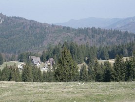 Teren constructii de vânzare, în Doftana