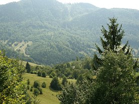 Teren constructii de vânzare, în Rucar