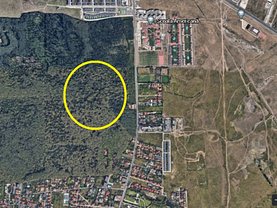 Teren padure de vânzare, în Bucureşti, zona Băneasa