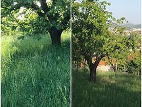 Teren livada de vânzare, în Cluj-Napoca, zona Dâmbul Rotund