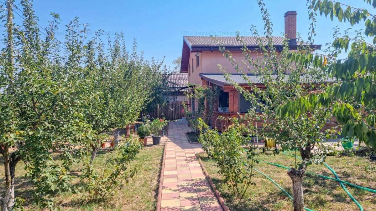 Casa si curte generoasa Uzunu (40 min Bucuresti si 25 min Giurgiu)