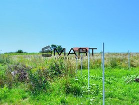 Teren agricol de vânzare în Daia