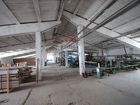 Vânzare ferma